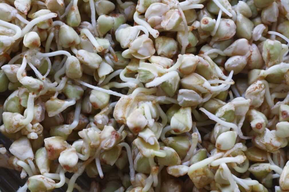 Spross Buckwheat fir Gewiichtsverloscht